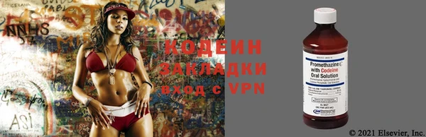 стаф Архангельск
