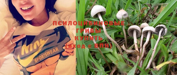 мефедрон Каменногорск