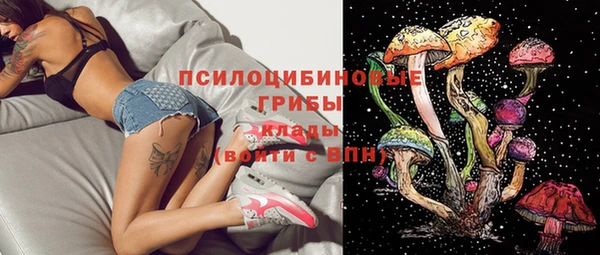 бутират Каменка