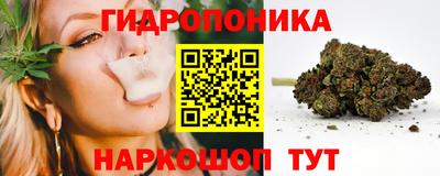 стафф Краснокаменск