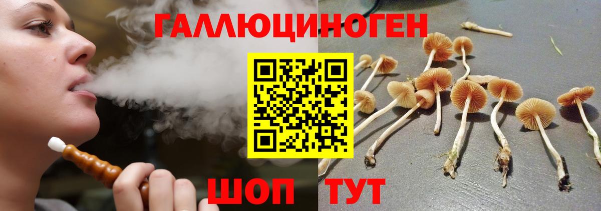 Галлюциногенные грибы Psilocybine cubensis Сатка