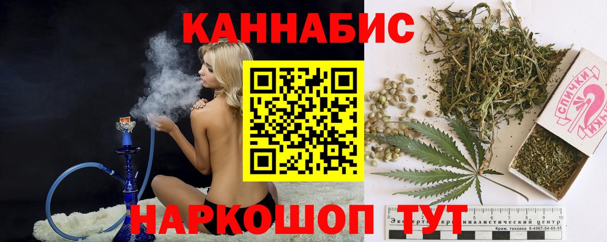 Конопля гибрид Сатка